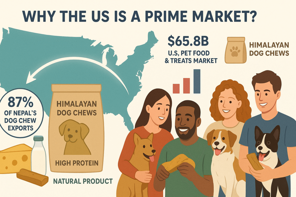 why-the-US-is-prime-market