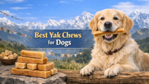Best-Yak-Chews-for-Dogs