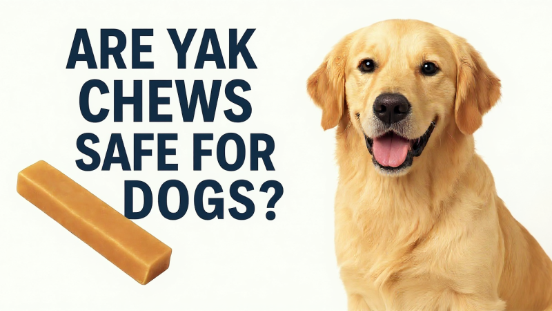 Are Yak chews safe for Dogs.