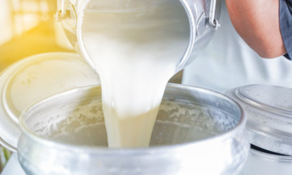 milk heating