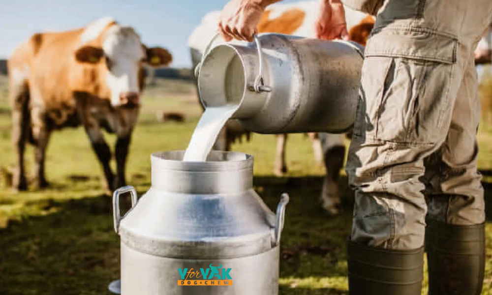 milk sourcing